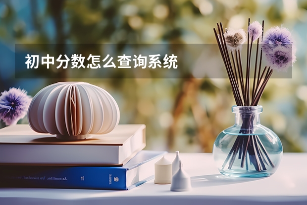 初中分数怎么查询系统
