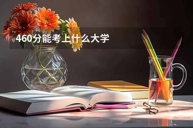 460分能考上什么大学