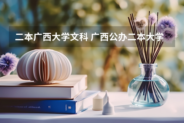 二本广西大学文科 广西公办二本大学排名及分数线