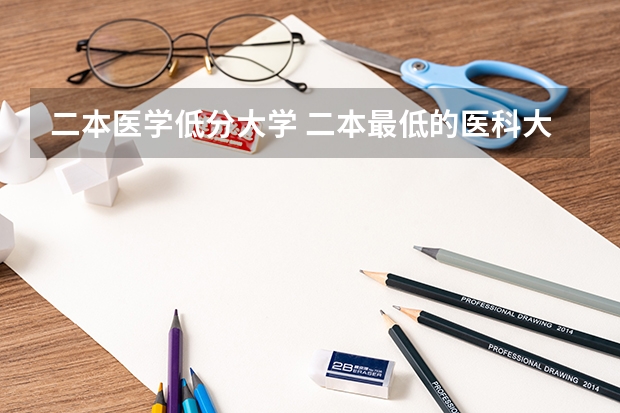 二本医学低分大学 二本最低的医科大学
