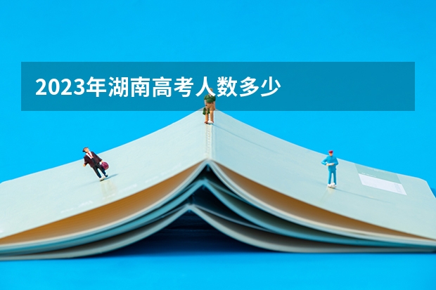 2023年湖南高考人数多少