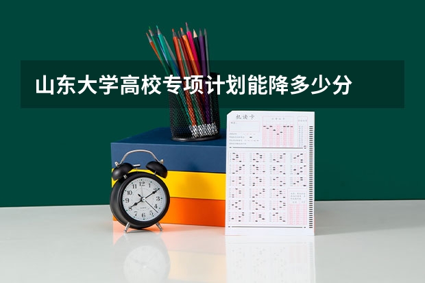 山东大学高校专项计划能降多少分