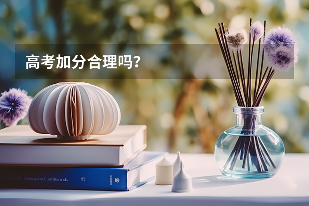 高考加分合理吗？