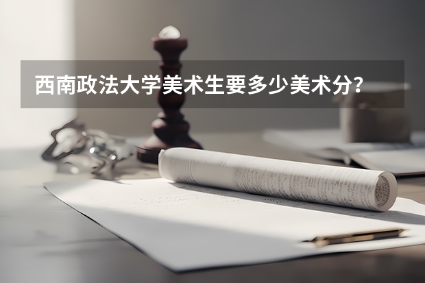 西南政法大学美术生要多少美术分?