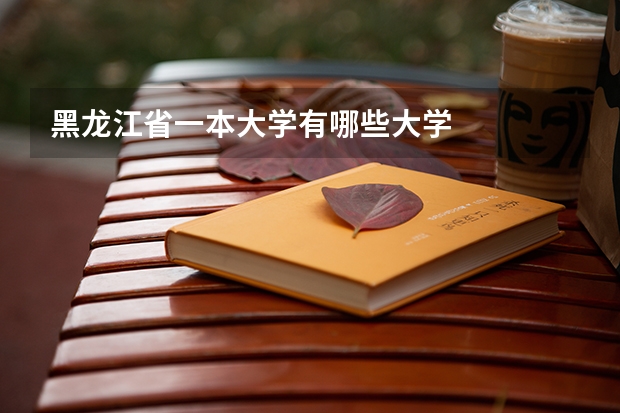 黑龙江省一本大学有哪些大学
