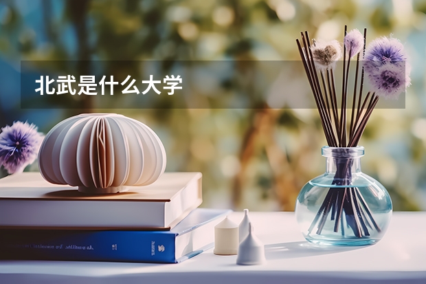 北武是什么大学