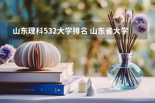 山东理科532大学排名 山东省大学排名及录取分数线