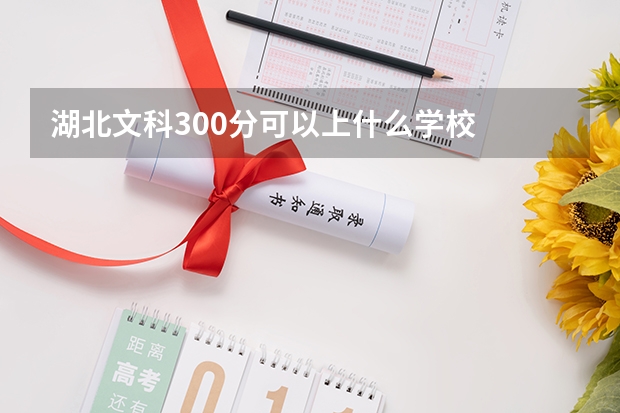 湖北文科300分可以上什么学校