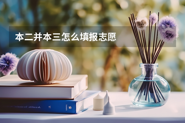 本二并本三怎么填报志愿