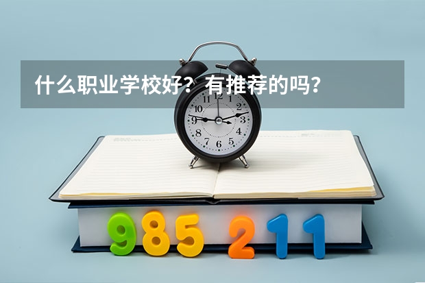 什么职业学校好？有推荐的吗？