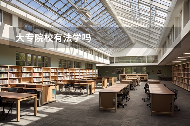 大专院校有法学吗