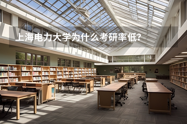 上海电力大学为什么考研率低？