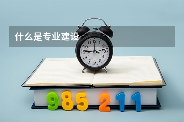 什么是专业建设