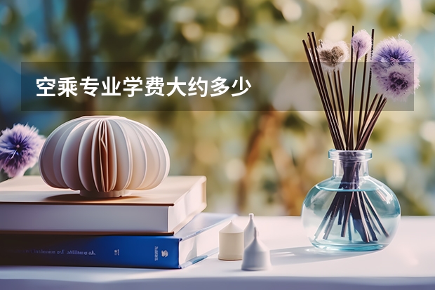 空乘专业学费大约多少