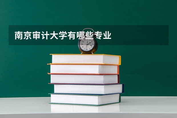 南京审计大学有哪些专业