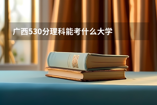 广西530分理科能考什么大学