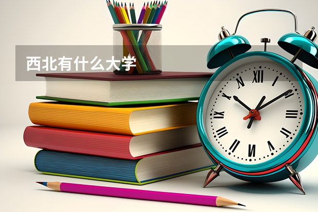 西北有什么大学