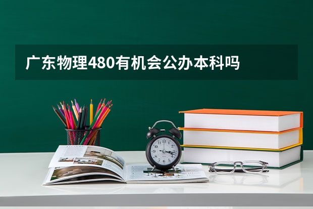 广东物理480有机会公办本科吗