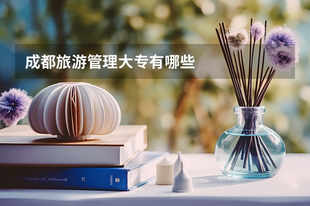 成都旅游管理大专有哪些