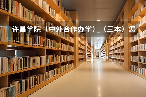 许昌学院（中外合作办学）（三本）怎么样？