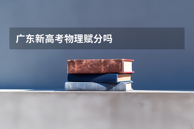 广东新高考物理赋分吗