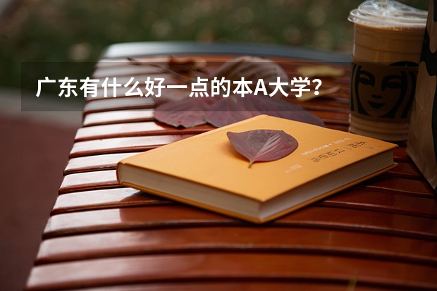 广东有什么好一点的本A大学？