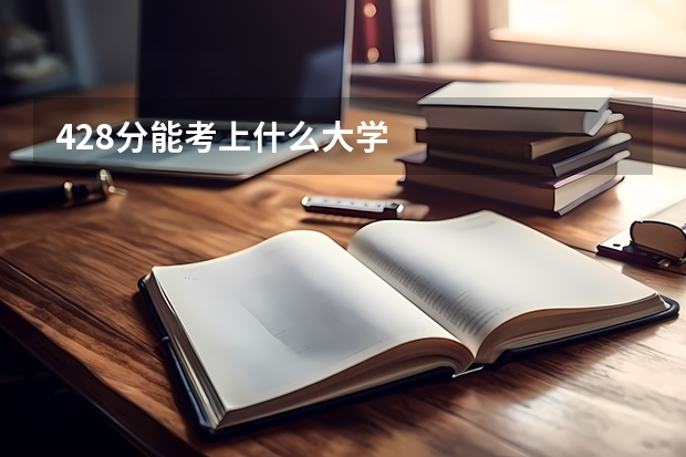 428分能考上什么大学