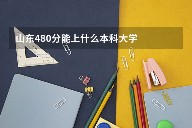 山东480分能上什么本科大学