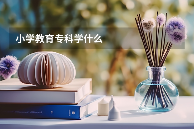 小学教育专科学什么