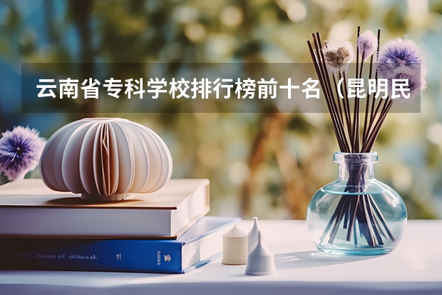 云南省专科学校排行榜前十名（昆明民办大专院校排名）