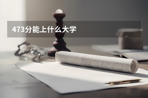 473分能上什么大学