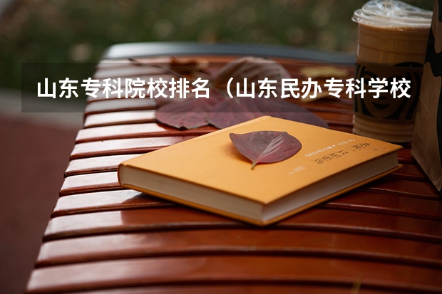 山东专科院校排名（山东民办专科学校排名）