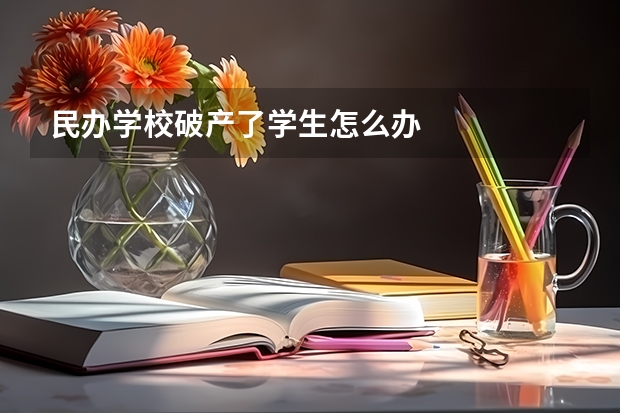 民办学校破产了学生怎么办