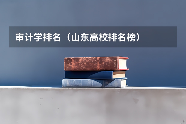 审计学排名（山东高校排名榜）