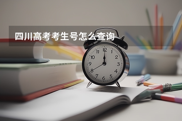 四川高考考生号怎么查询