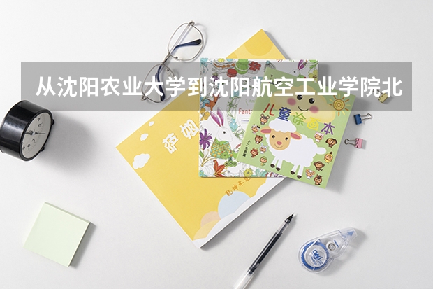 从沈阳农业大学到沈阳航空工业学院北方科技学院(三本)应该坐什么车,多长时间?
