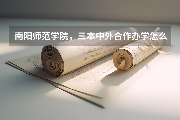 南阳师范学院，三本中外合作办学怎么样