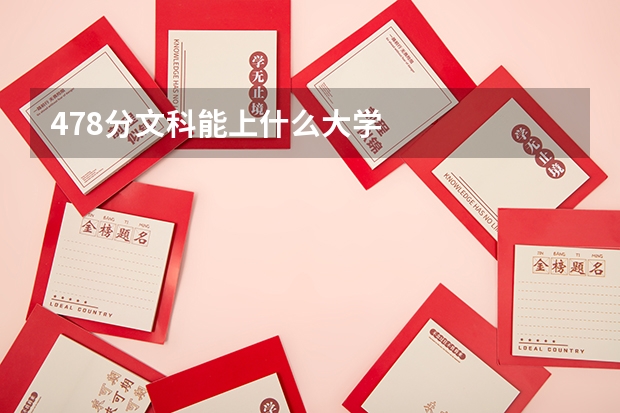478分文科能上什么大学