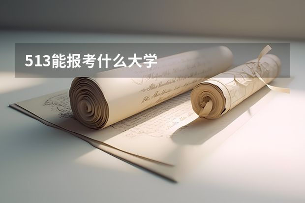 513能报考什么大学