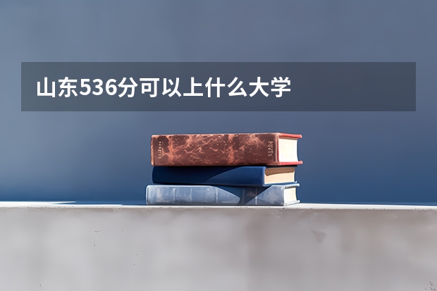 山东536分可以上什么大学