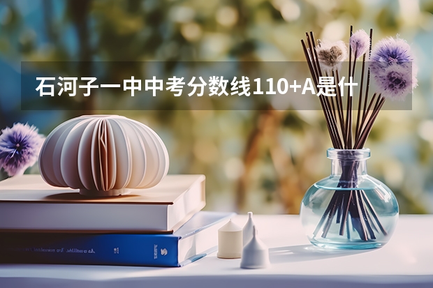 石河子一中中考分数线110+A是什么意思