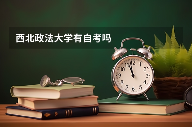 西北政法大学有自考吗