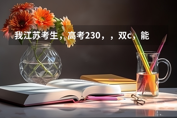 我江苏考生,高考230,,双c,能上什么学校·