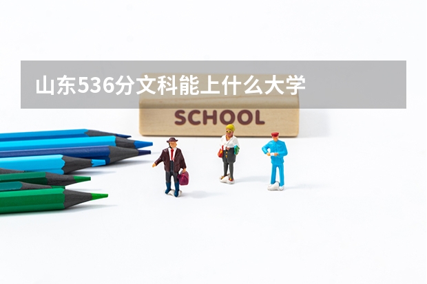 山东536分文科能上什么大学