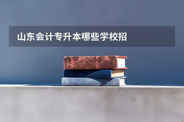 山东会计专升本哪些学校招