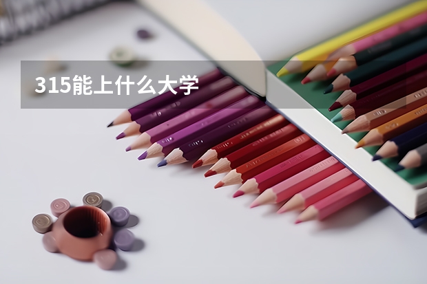 315能上什么大学