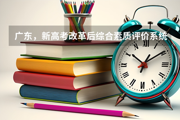 广东，新高考改革后综合素质评价系统没填会有什么影响，对大学录取的影响大吗，如何才能补填？