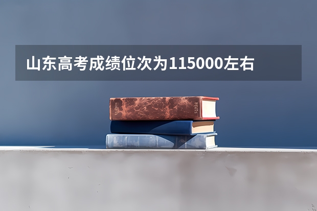 山东高考成绩位次为115000左右,可以报考的省内大学有哪些？