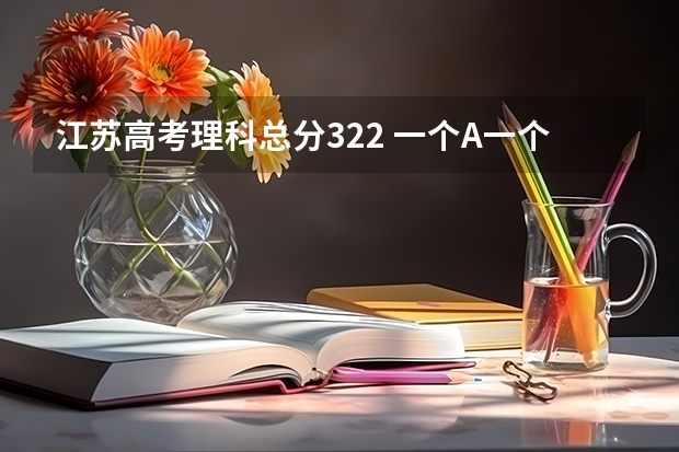 江苏高考理科总分322 一个A一个B加 排名是114211能上公办二本吗？