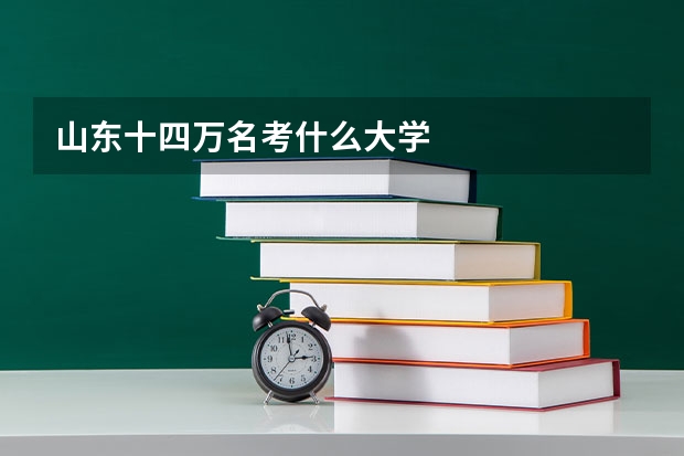 山东十四万名考什么大学